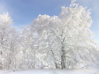 snow-covered trees in the winter forest. Beautiful winter landscape in the Taganay Nature Reserve in the Urals, Russia