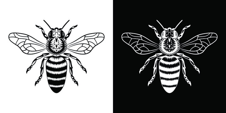 logo for honey, detailed wasp, bee