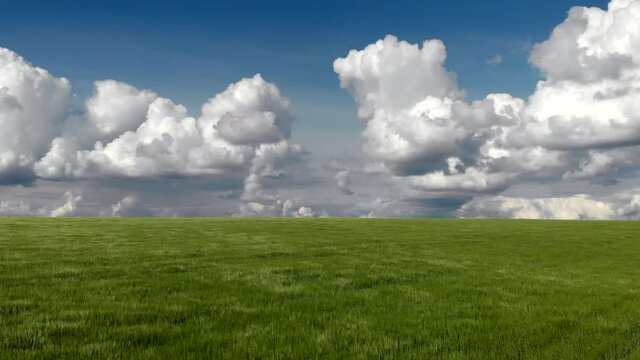 Green grass blue sky clouds windows theme awesome summer drone landscape shot