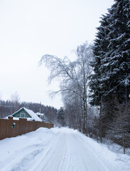 Russian village at the winter