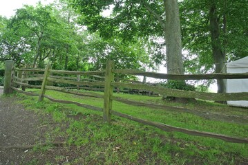 苔むした木製フェンス