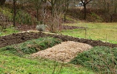 A farmer's field in a village covered with needles from the frost in winter