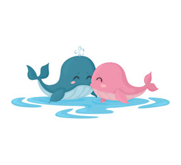Cute illustration of whales. Valentine's day animal couple with whales. Vector.