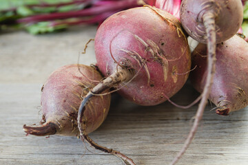 Red beetroots