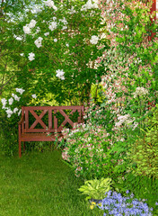 Obraz premium Honeysuckle in garden soft focus. Flowers Lonicera Sempervirens, common names common honeysuckle, European honeysuckle or woodbine.