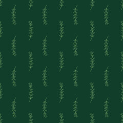 Seamless Pattern with Thyme Vector line art on Green Background