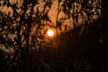 Fototapeta premium Panoramic view of beautiful sunrise or sunset through silhouette of trees in India