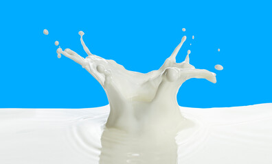 pouring of milk splash isolated white background
