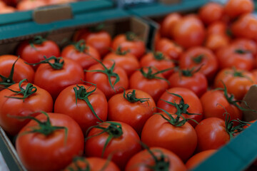 Soft focused shot of vegetable department in grocery store, supermarket, mall, hypermarket or shopping center. Boxes with tomatoes. Vegetarian healthy food concept.