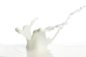pouring of milk splash isolated white background