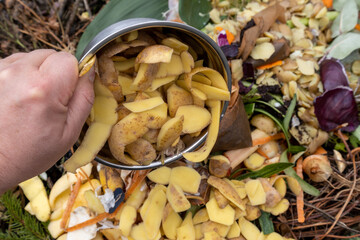 Male hands holding a bowl full of vegetable peels to be composted