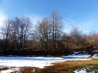 Winter hiking tour to Hoher Kranzberg mountain, Karwendel, Bavaria, Germany