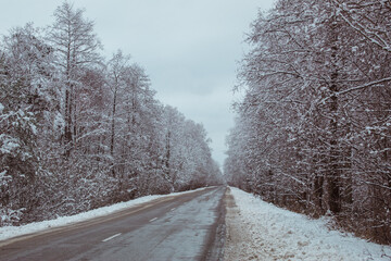 Fototapeta premium winter forest, winter road, forest in the snow, winter 2021