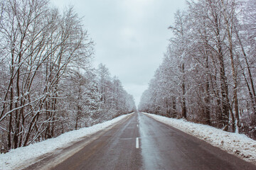 Obraz premium winter forest, winter road, forest in the snow, winter 2021