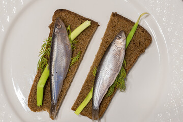 Snacks with sardines on black rye sliced bread. Riga traditional delicious dish. Top view.