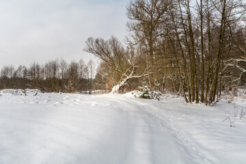Fototapeta na wymiar Winter landscapes on a frosty day.