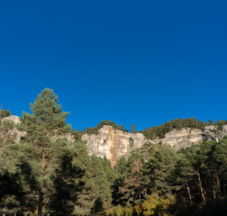 Fototapeta na wymiar Pine tree forest, cliffs and blue sky