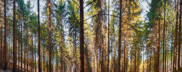 Mountain panorama of Heuberg mountain in Bavaria, Germany