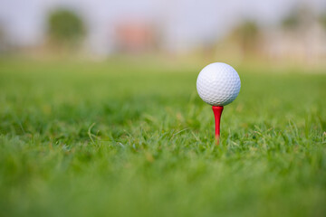 Golf ball on tee ready to be shot in beautiful green stadium. Golf helps to relieve tension and stimulate the brain function.