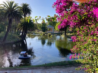 Fototapeta premium garden