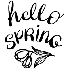 Hello spring vector. Lettering. Typography with flower. Greetings phrase.Phrase "Hello spring". Isolated Illustration on white background. Seasonal greeting. Hand drawn phrase