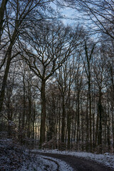 Schöner, verschneiter Wald im Kraichgau, Deutschland