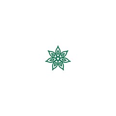 Green Anise star linear icon. Vector flat illustration isolated on white.