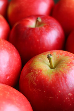Vertical image of fresh ripe red apples in rows for background