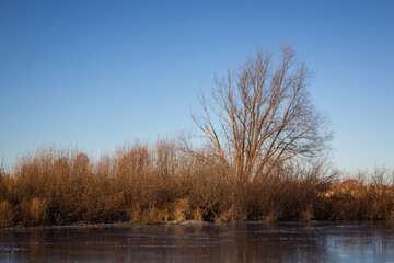 Obraz premium Bautiful landskape nature in winter