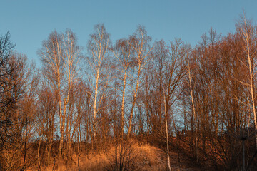 Obraz na płótnie Canvas Bautiful landskape nature in winter