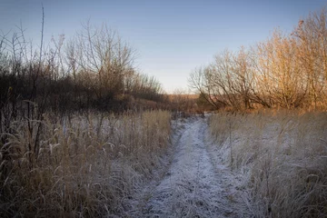 Foto auf Leinwand Bautiful landskape nature in winter © Макс Варзин