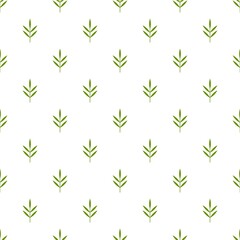 Seamless ornament with green rosemary twig, shoot, sprig on white background.