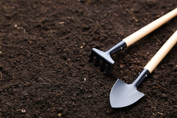 Garden shovel and rake on the ground