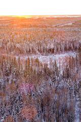 Snow covered winter forest view from above during sunrise