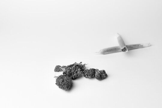 Closeup view of marijuana rolled joints and dry buds .Black and white style photography with copy space.