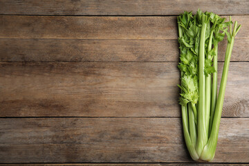 Fresh green celery on wooden table, top view. Space for text
