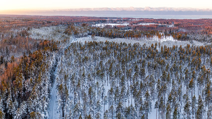 Snow covered winter forest view from above during sunrise