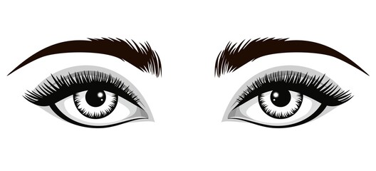Vector drawing of a woman's makeup. Close-up of eyes, eyelashes, eyebrows. Open view.