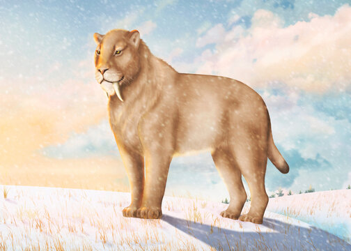 Saber-toothed cat in the cold Ice age.
