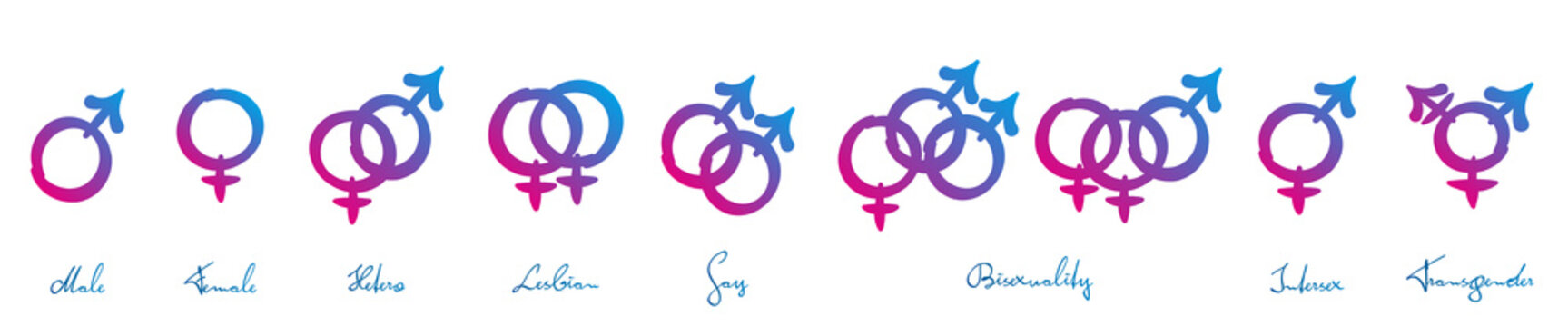 Male, female, hetero, lesbian, gay, bisexuality, intersex and transgender symbols. Pink and blue signs with names on white background. Vector illustration.n