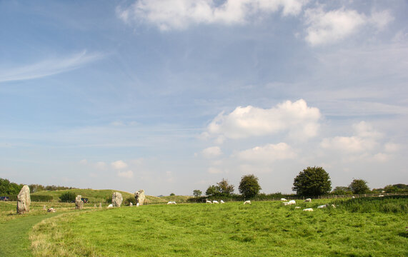 Schafe am Steinkreis in Avebury, Grossbritanien.