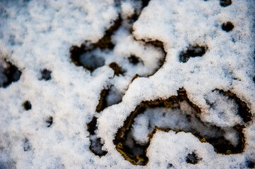 terra con neve ghiacciata - texture