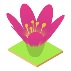 Lotus flower icon. Isometric illustration of lotus flower vector icon for web