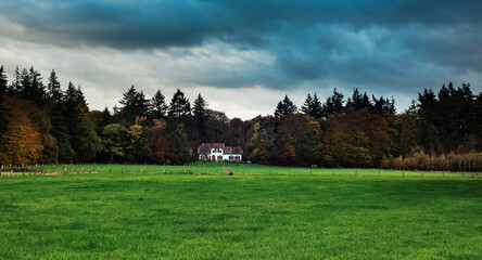 Fototapeta na wymiar Meadow with villa in edge of autumn forest under dark stormy sky.