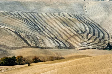 seltsames linienspiel auf den toskanischen hügeln - textur © Luca Nannini