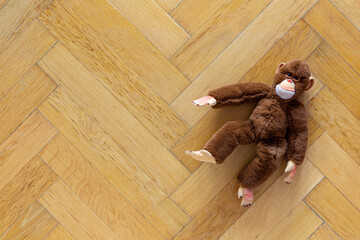 Cuddly toy on a classic herringbone parquet floor with space for text - 407036568