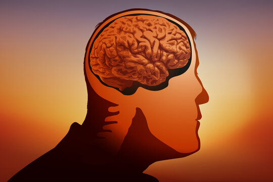 Concept de l’étude des facultés cérébrales et des maladies mentales, avec le schéma d’une tête d’homme vue de profil, présentant la place du cerveau dans le crâne.