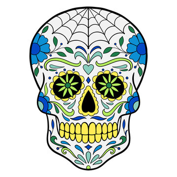 Day of The Dead colorful sugar skull with floral ornament