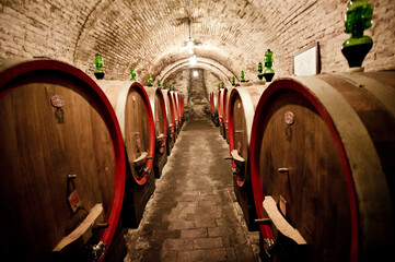 due ile di botti di vino riposano nelle cantine toscane