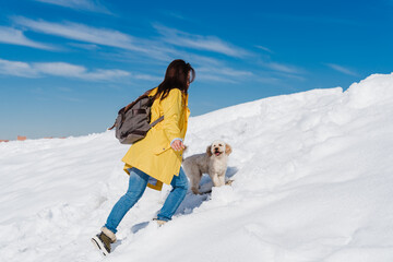 Fototapeta na wymiar backpacker woman hiking outdoors with cute poodle dog. Snowy mountain in winter season. nature, pets and lifestyle